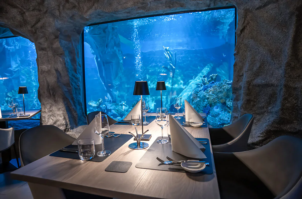 Gourmet-Menü im Unterwasser-Restaurant in Neuwied für 2 - 1