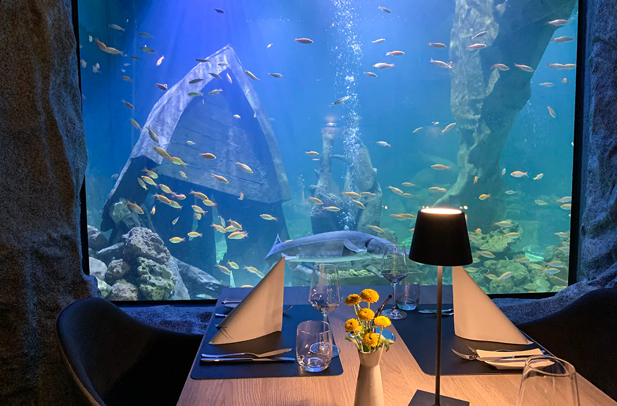 Gourmet-Menü im Unterwasser-Restaurant in Neuwied für 2 - 4