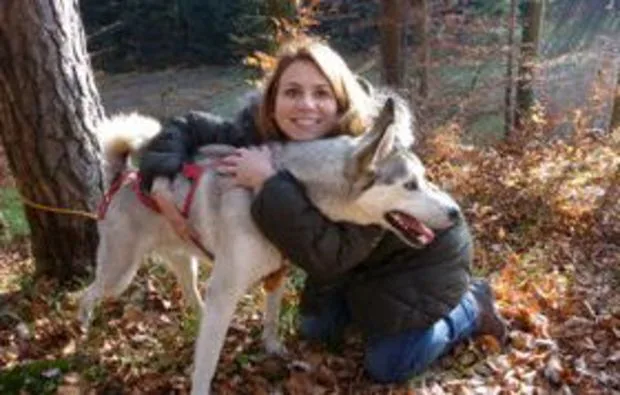 Schlittenhunde Wagenabenteuer Ermenswil für 2 - 4