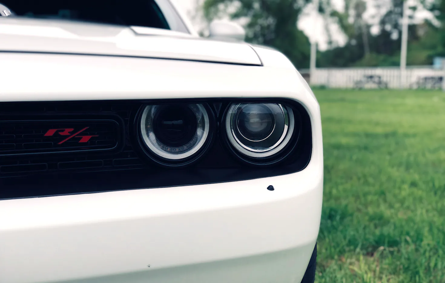 Dodge Challenger mieten Thale (4 Std.) - 4