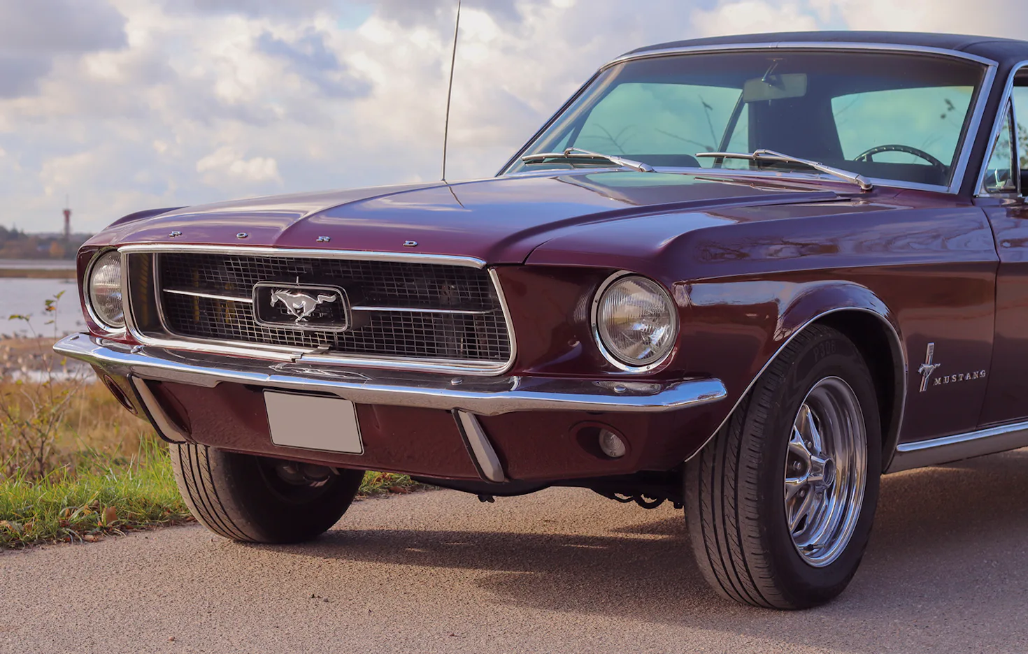 Ford Mustang Oldtimer fahren Wees (4 Std. ) - 2