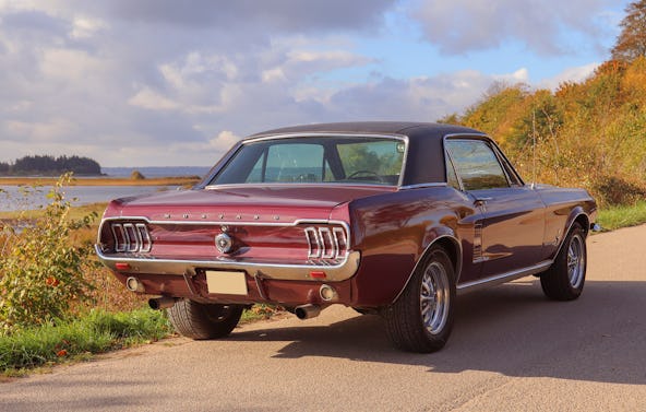 Ford Mustang Oldtimer fahren Wees (4 Std. )