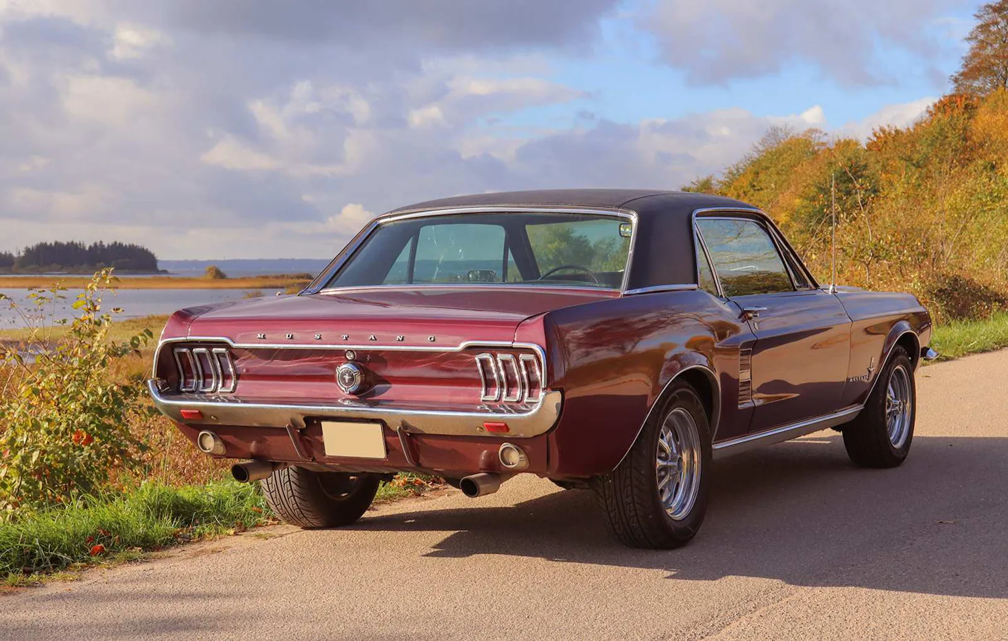 Ford Mustang Oldtimer fahren Wees (4 Std. ) - 1