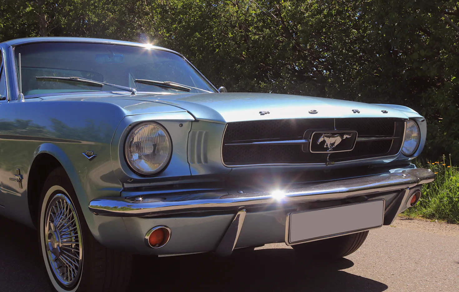 Ford Mustang Oldtimer fahren Wees (4 Std. ) - 4