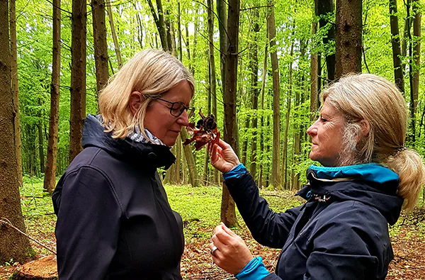 Waldbaden-Durchatmen im Wald - 3