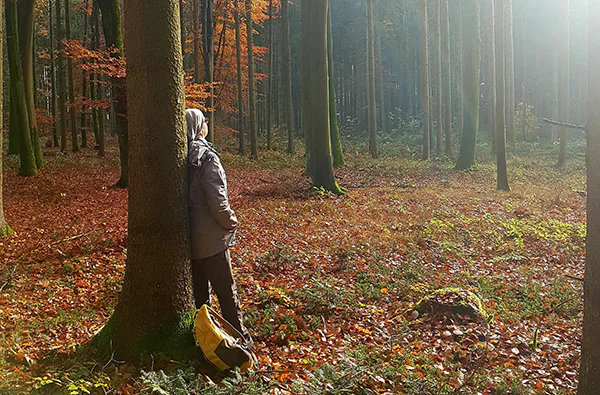 Waldbaden-Durchatmen im Wald - 4