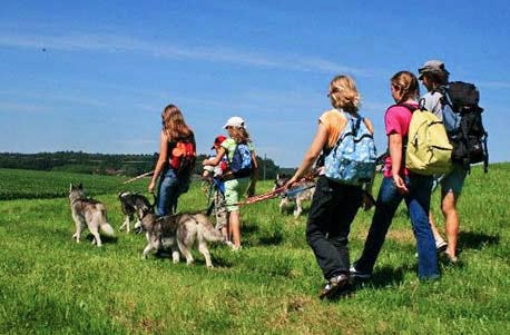 Wandern mit Huskies