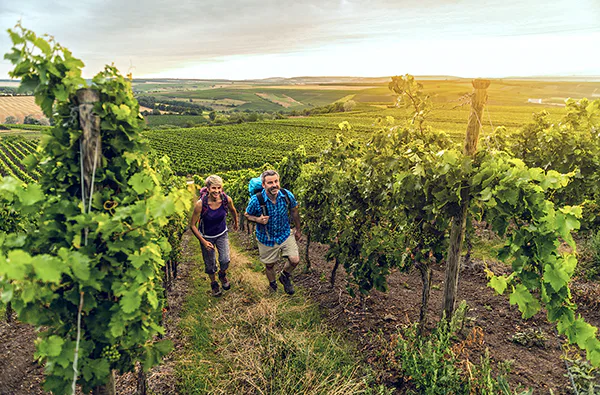 Hiwweltouren Wanderurlaub für 2 (1 Nacht) - 1