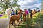 Bauernhof Besuch Bad Großpertholz