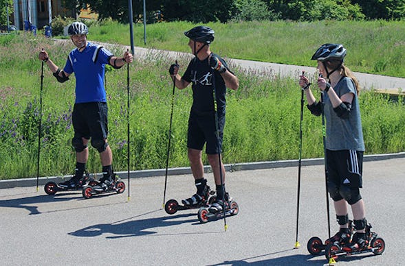 Einsteigerkurs Skike Mainburg (2 Std.)