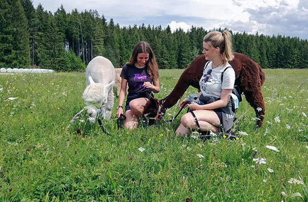 Erlebnistag Picknick mit Alpakawanderung für 2