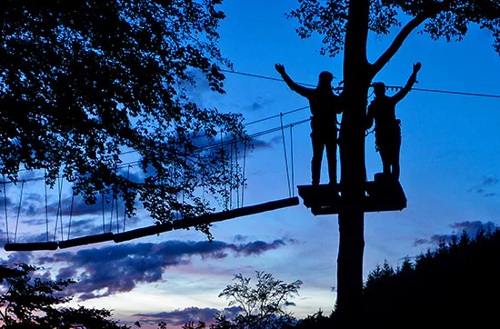 Flying Fox bei Nacht in der Vulkaneifel - 4