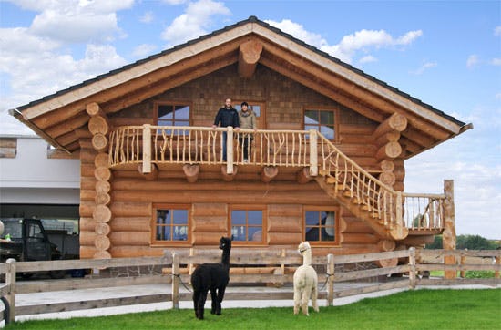 Nacht im Holzblockhaus & Alpaka Wanderung Raum Cham für 2