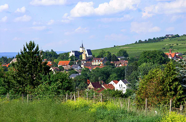 Junggesellinnen Abschied Ingelheim am Rhein - 4