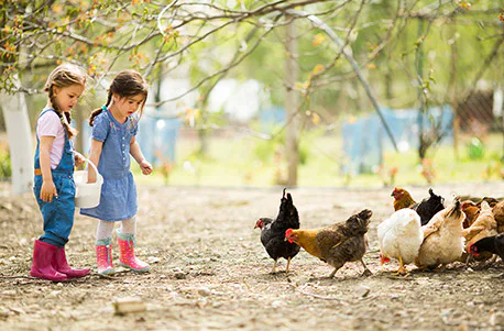 Kindertag am Bauernhof in Wiener Neustadt - 1