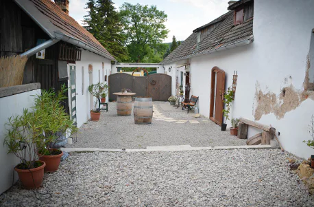 Kindertag am Bauernhof in Wiener Neustadt - 8