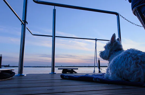 Hausboot mieten für 2 (5 Tage) - 6
