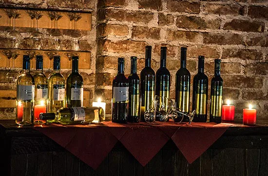 Geführte Weinprobe in Österreich für 2 - 7
