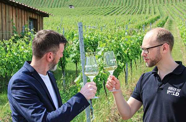 Online Weinprobe (2 Std.) - 4