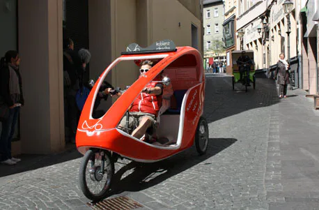 Rikscha-Picknick-Tour für 2 - 4