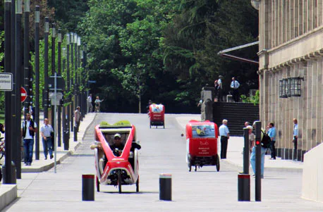Rikscha-Picknick-Tour für 2 - 6