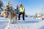 Schneeschuh-Tour mit dem eigenen Hund