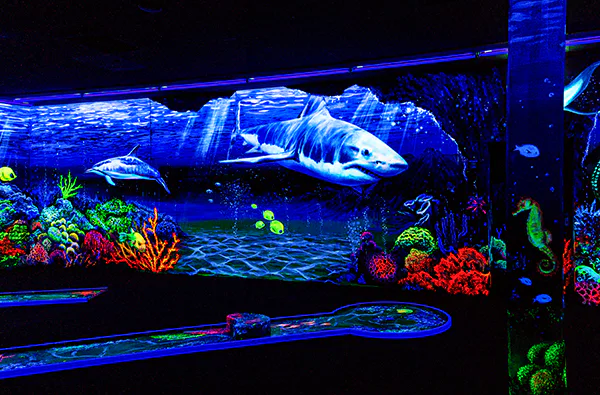SCHWARZLICHT MINIGOLF SCHWÄBISCH GMÜND FÜR 4 - 2