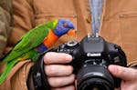 Tierfotografie für Einsteiger im Tierpark