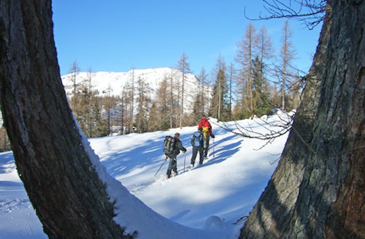Schneeschuh-Tour auf den Wiener Hausbergen