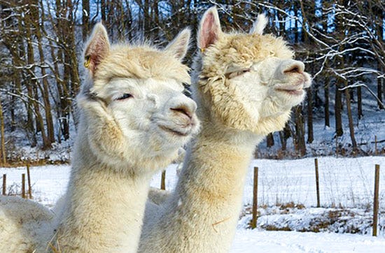 Aktivitäten Draußen