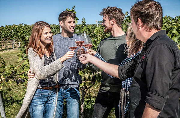 Weinbergwanderung & Weinprobe Raum Heidelberg für 2 - 4
