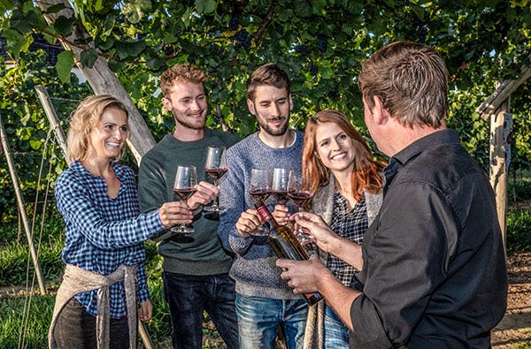 Weinbergwanderung & Weinprobe Raum Heidelberg für 2