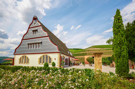 Weingut-Kurzurlaub an der Nahe für 2 (2 Nächte)