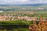 Weinverkostung mit Übernachtung in Rheinhessen für 2