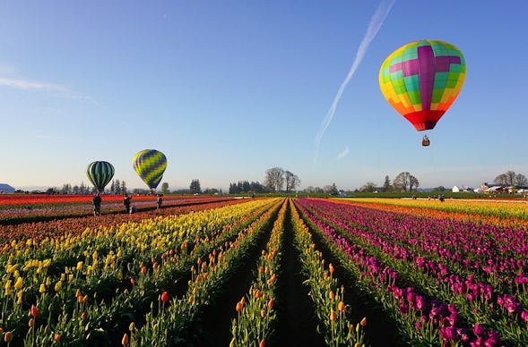 Ballonfahren Norddeutschland