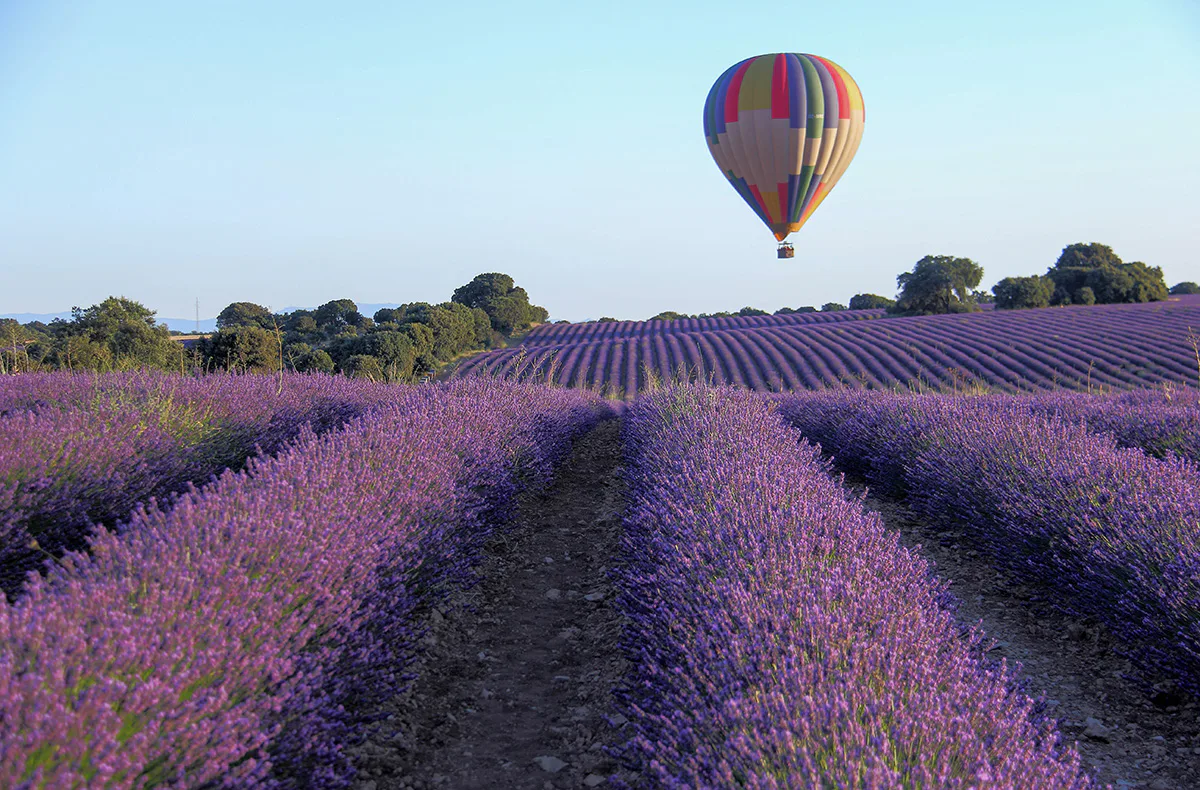 Ballonfahren Norddeutschland - 5