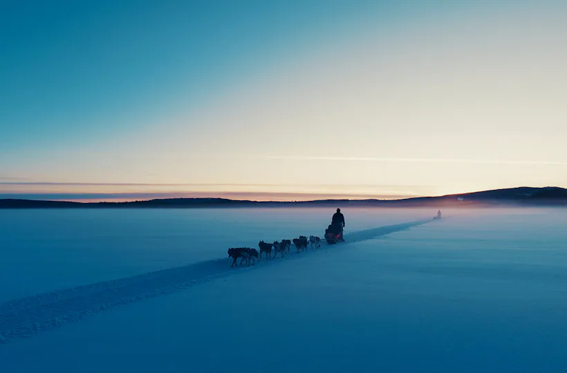 Abenteuerwoche Lappland mit Hundeschlitten für 2 (7 Nächte)