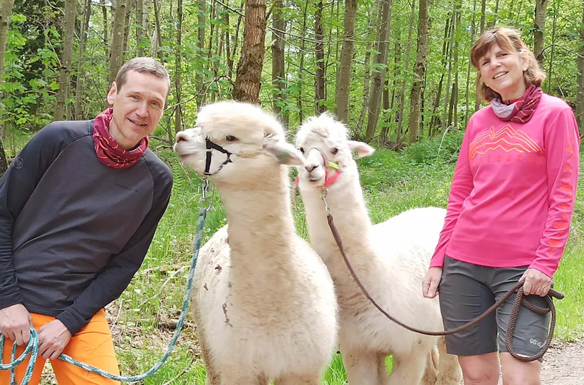 Alpaka Wanderung mit Picknick Waldenbuch