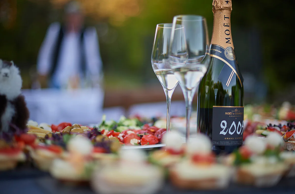 Alpaka Wanderung mit Speed Dating Iggensbach - 6