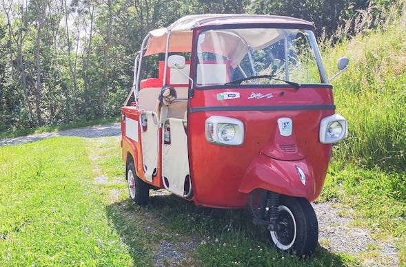 Ape Tour Dreiländereck Oberwart (4 Std.)