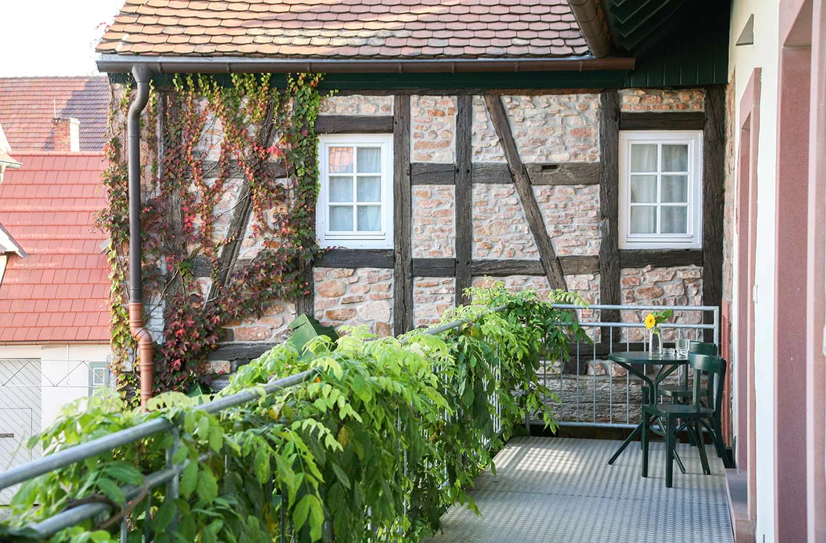 Asiatischer Kochkurs Weisenheim am Berg - 5