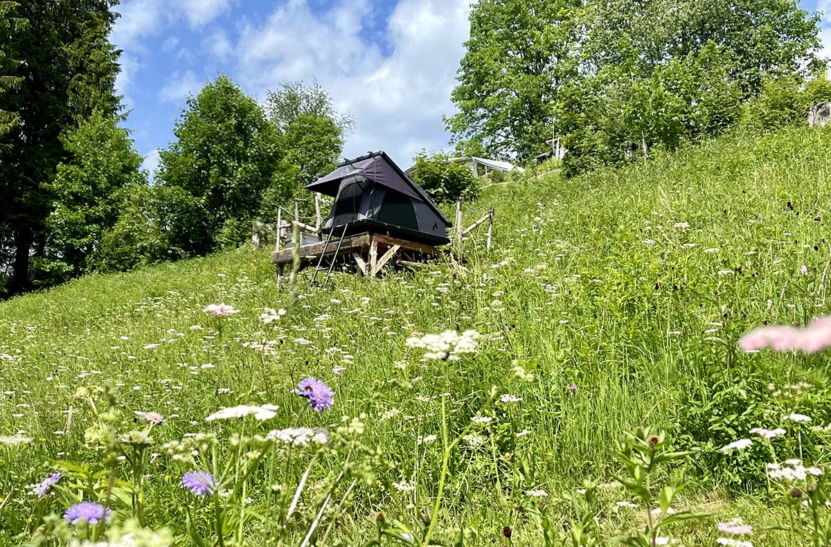 Außergewöhnlich Übernachten im Dachzelt Furtwangen für 2 (2 Nächte) - 4