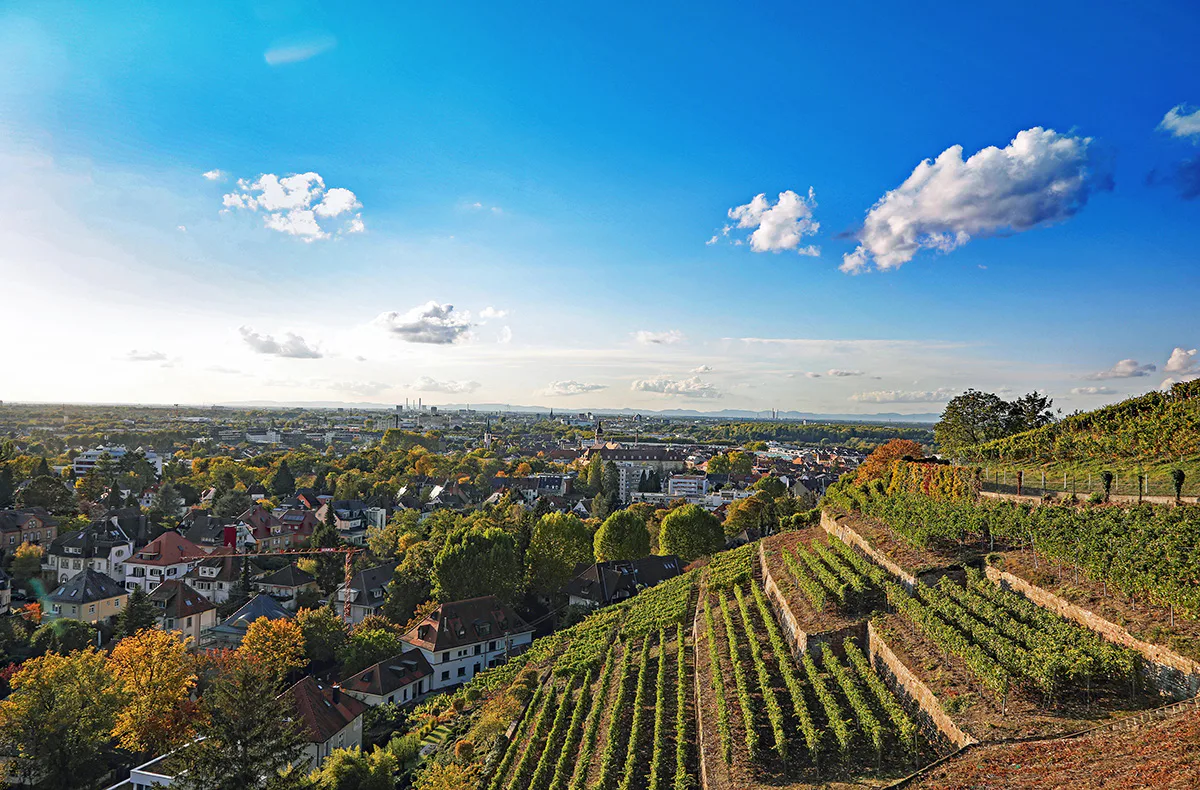 Außergewöhnlich Übernachten im Dachzelt Rülzheim für 2 (2 Nächte) - 3