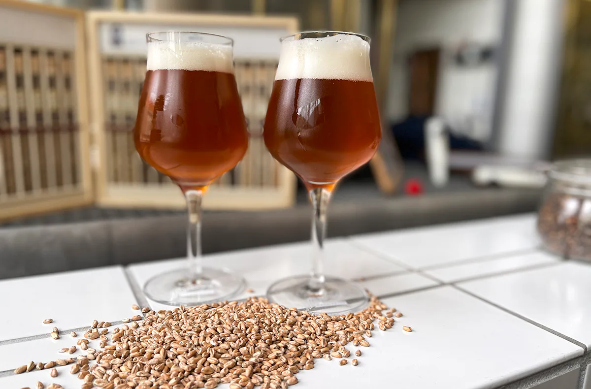 Fränkisches Bier- und Bratwursterlebnis - 2