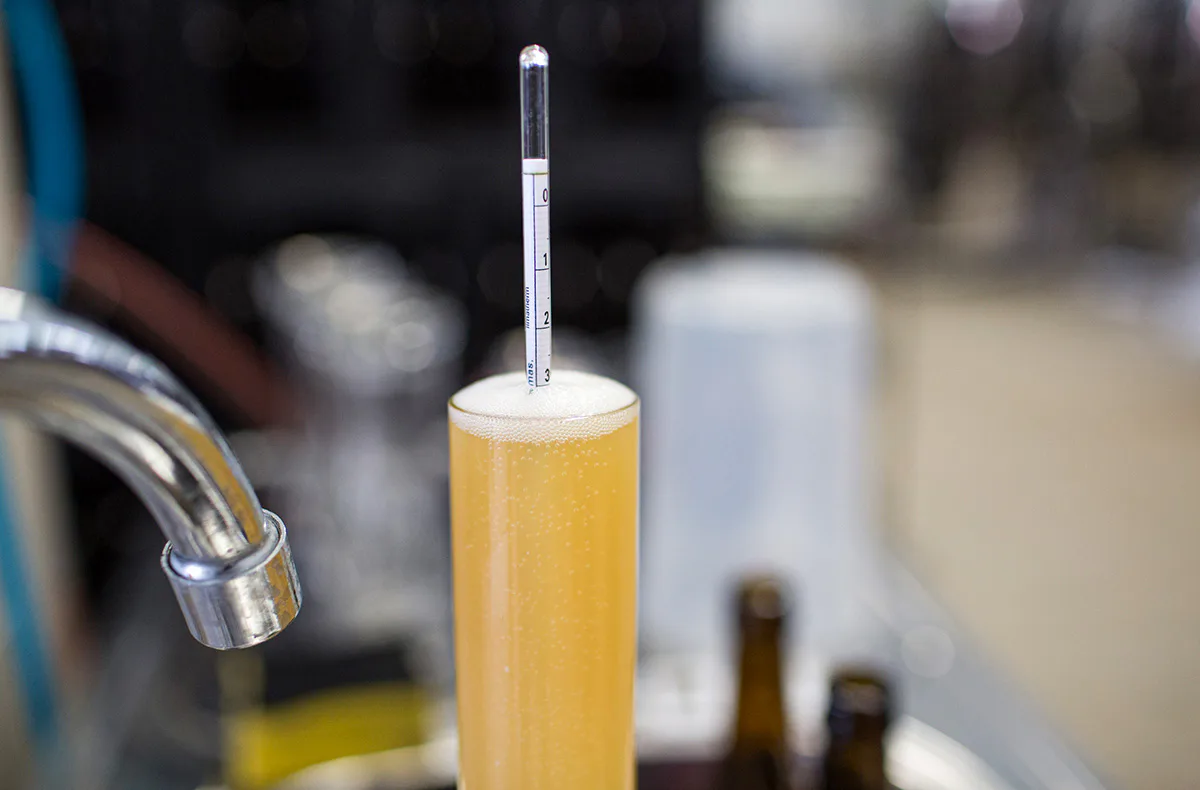 Bio-Bier Braukurs in München - 4
