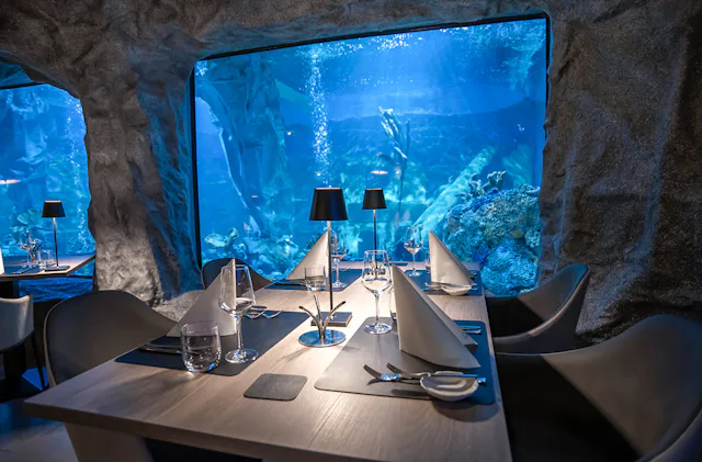 Gourmet-Menü im Unterwasser-Restaurant in Neuwied für 2