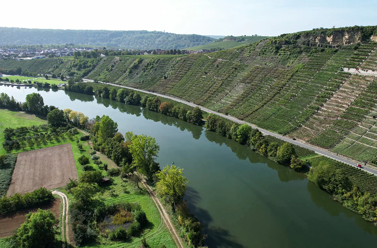 E-Foil Intensivkurs Lauffen am Neckar - 5