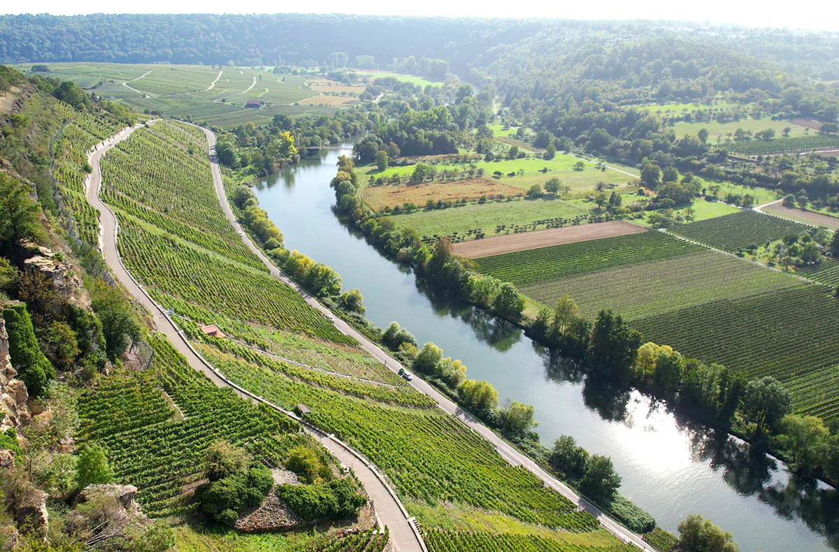 E-Foil Schnupperkurs Lauffen am Neckar - 5