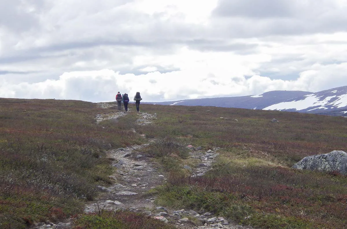 Erlebnisreise Expeditionstrekking in Nordschweden (9 Nächte) - 1