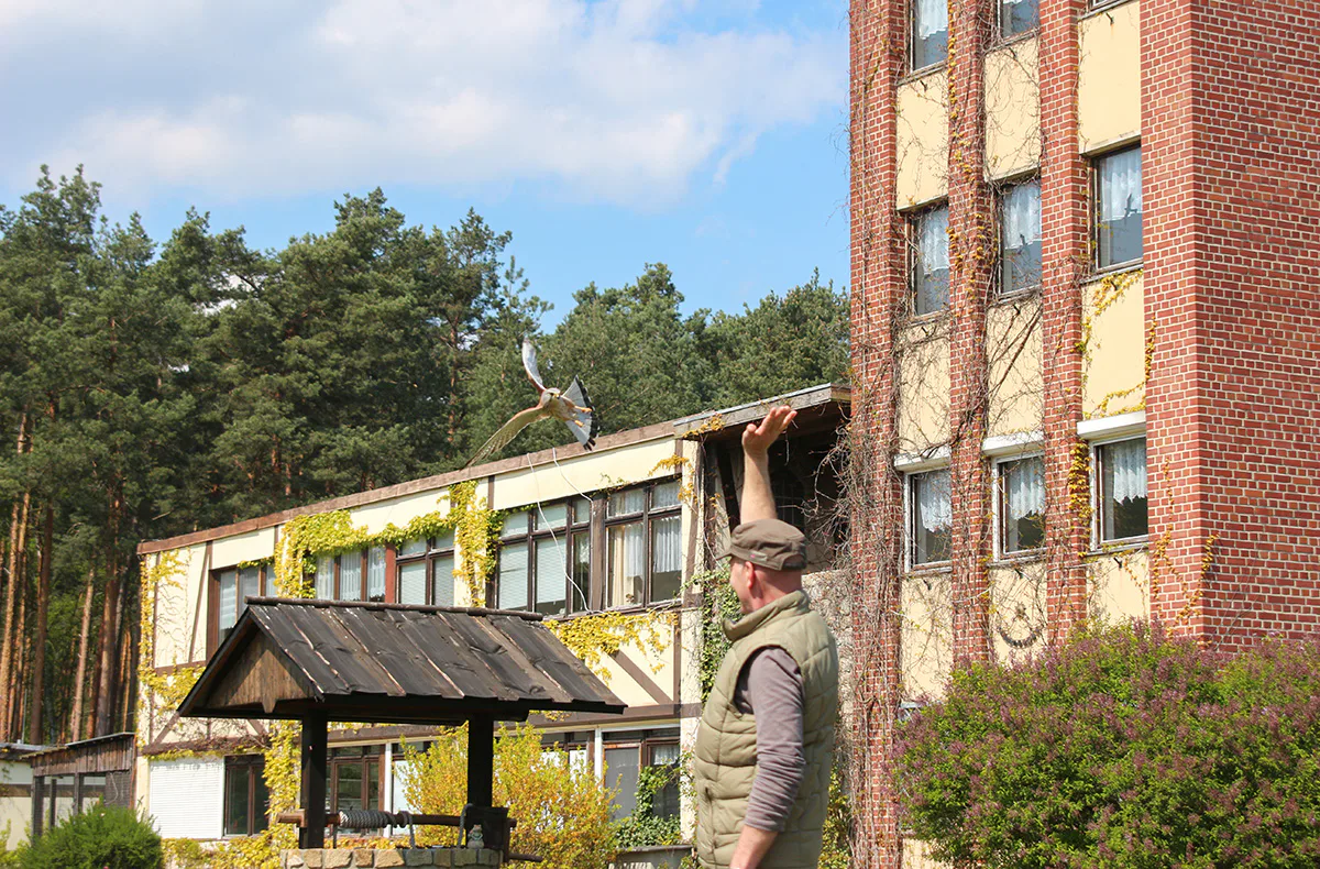 Falkner für einen Tag in Potsdam - 3